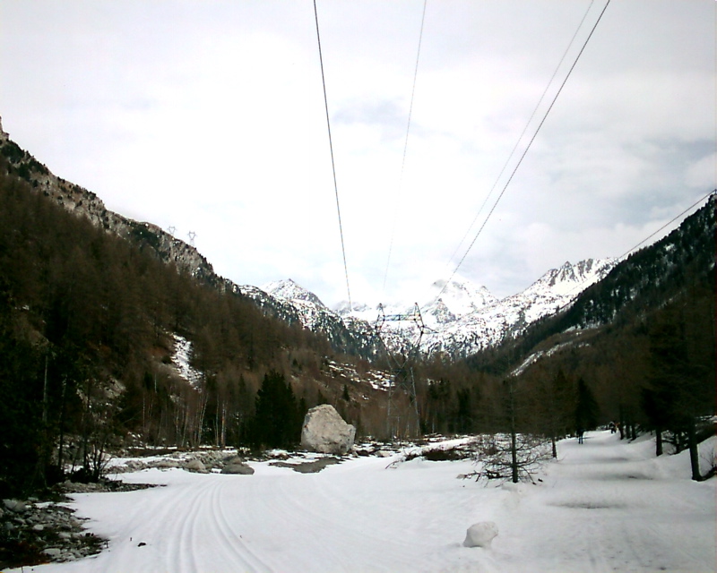 IMAG0033.JPG