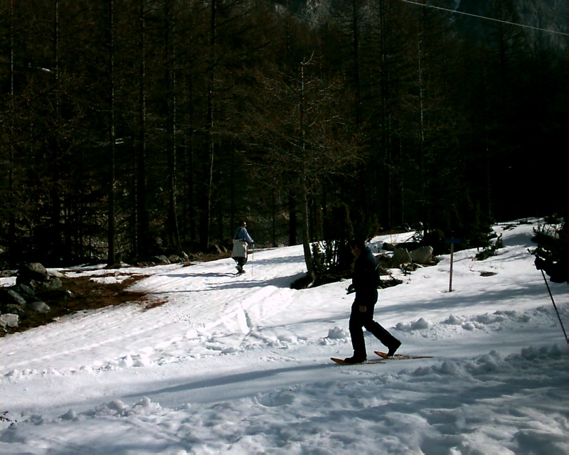 IMAG0113.JPG