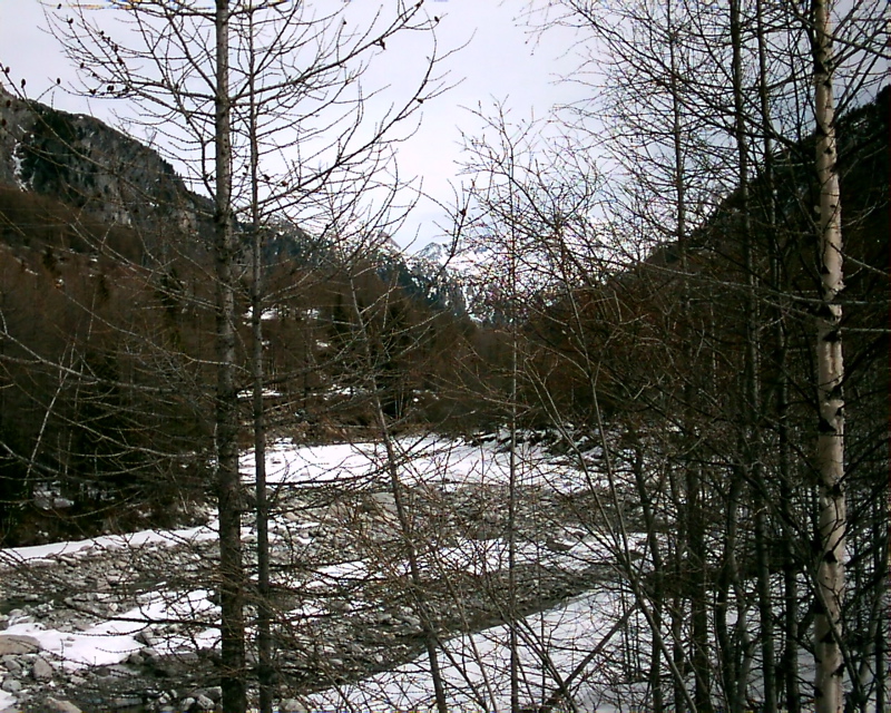 IMAG0034.JPG