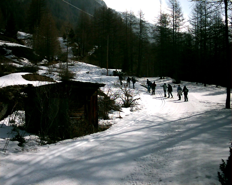 IMAG0118.JPG