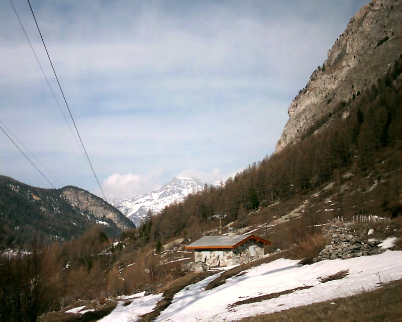 IMAG0123.JPG