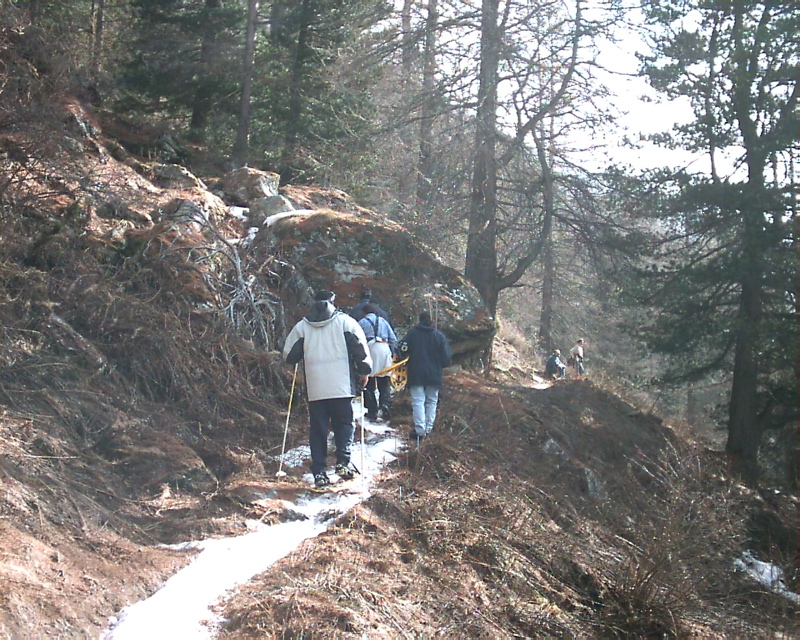 IMAG0125.JPG