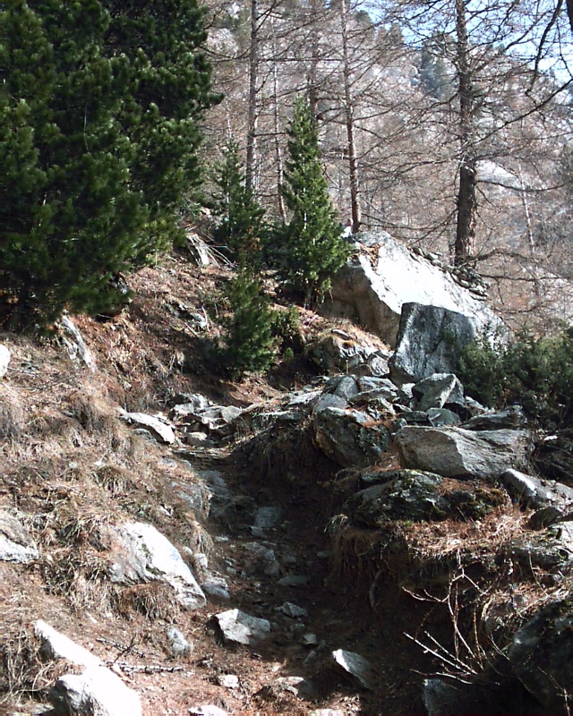 IMAG0126.JPG