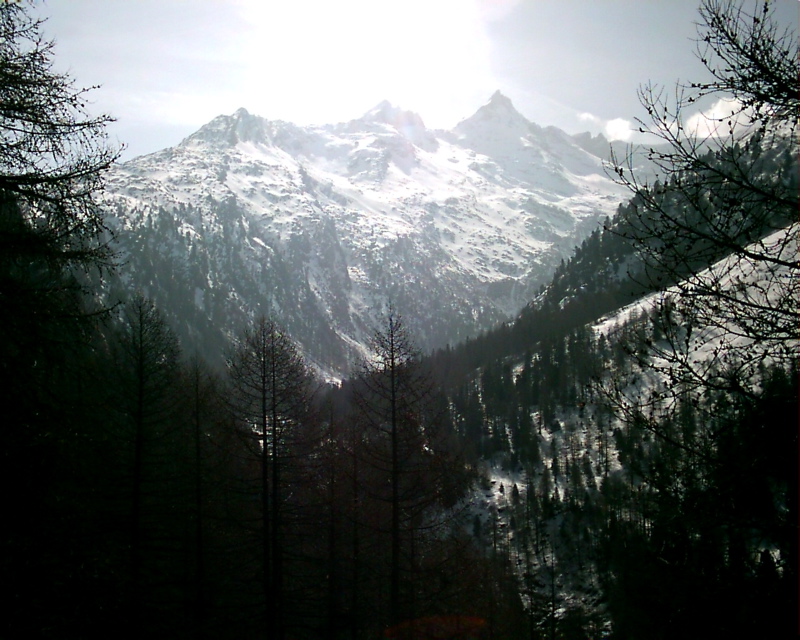 IMAG0127.JPG