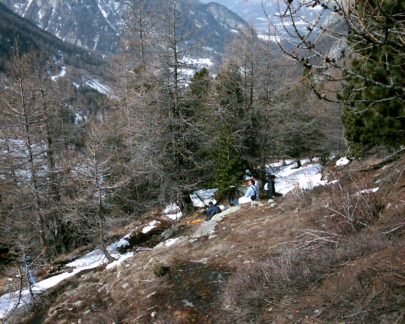 IMAG0132.JPG