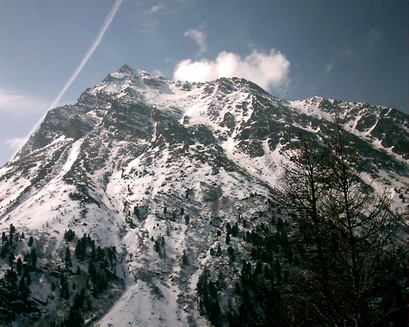 IMAG0135.JPG