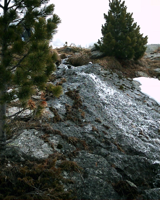 IMAG0137.JPG