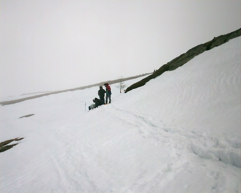 IMAG0155.JPG