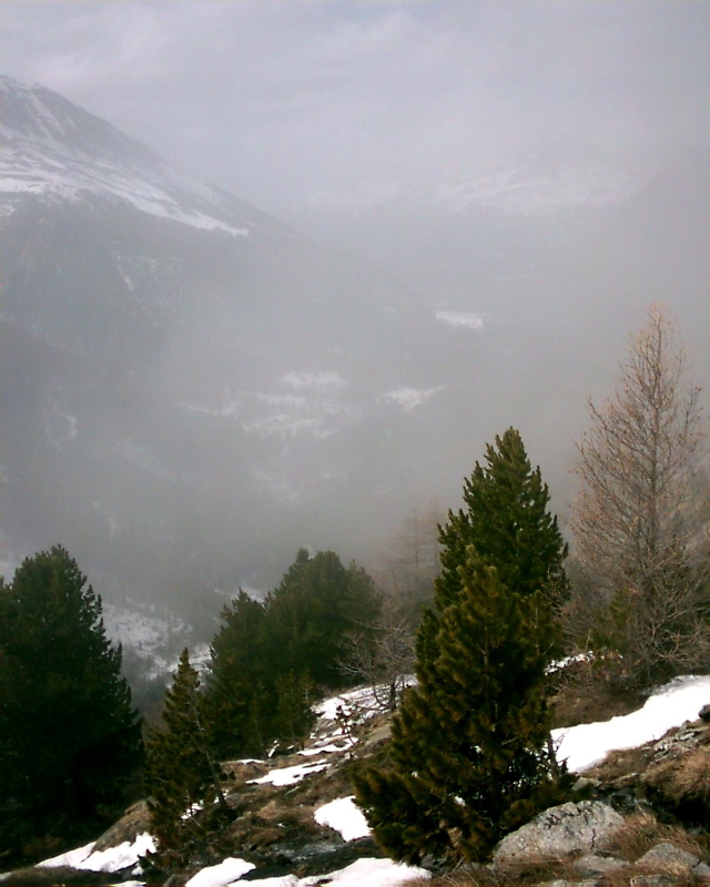 IMAG0158.JPG