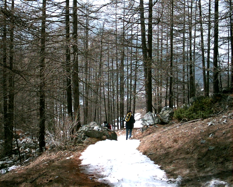 IMAG0161.JPG
