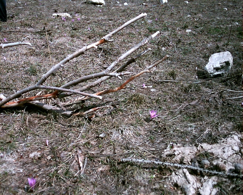 IMAG0163.JPG