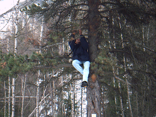 IMAG0018.JPG