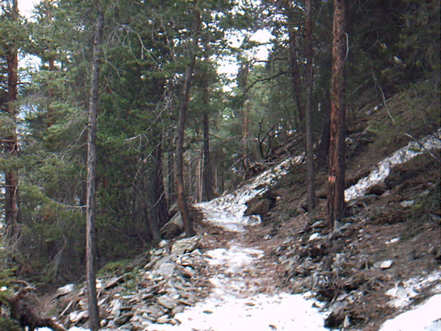 IMAG0011.JPG