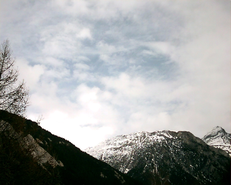 IMAG0029.JPG