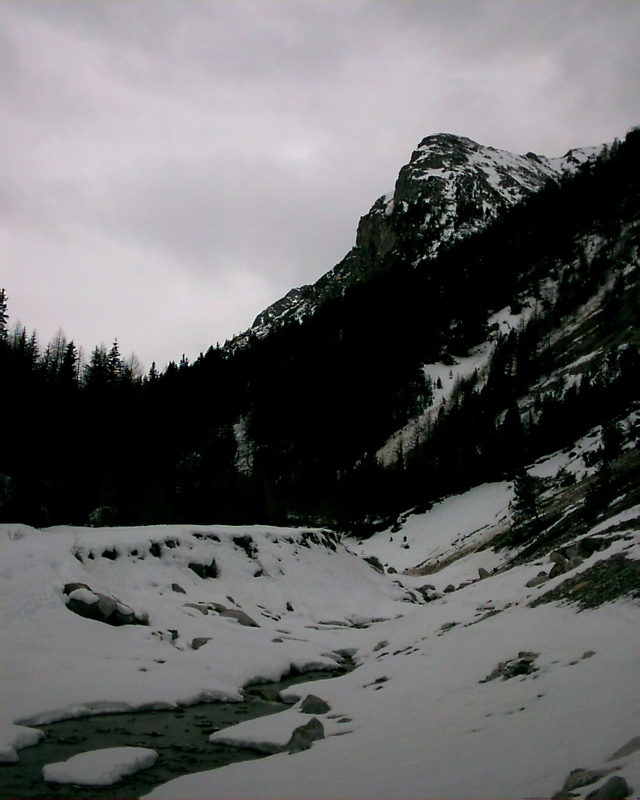IMAG0049.JPG