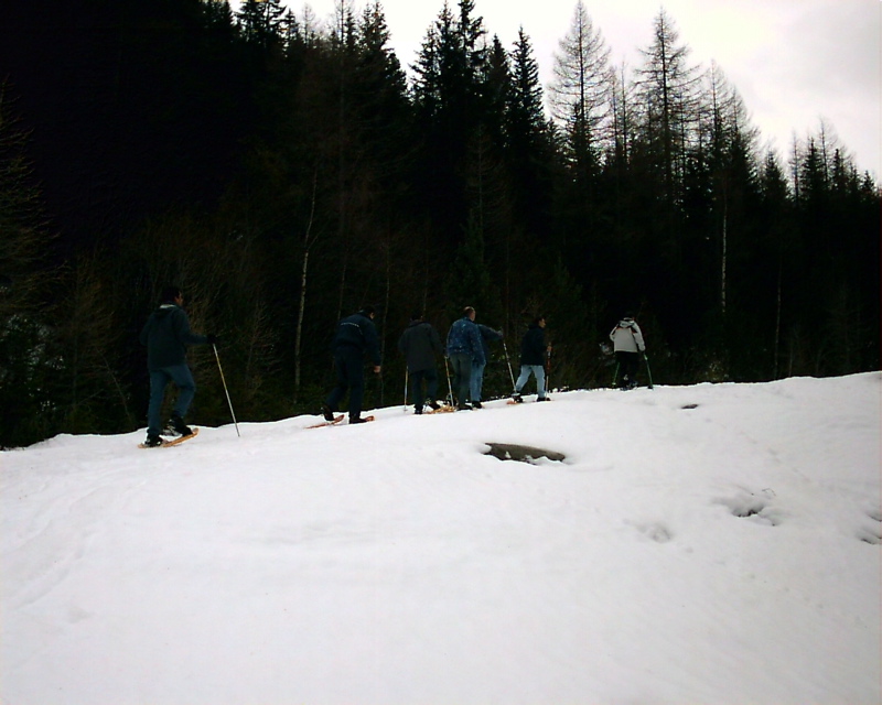 IMAG0050.JPG
