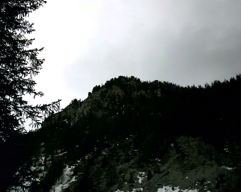IMAG0051.JPG