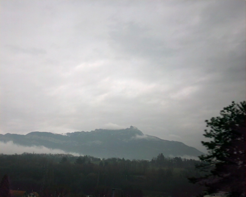IMAG0001.JPG