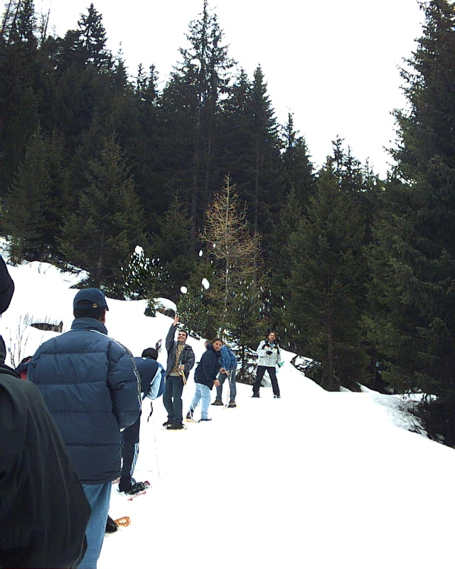 IMAG0054.JPG