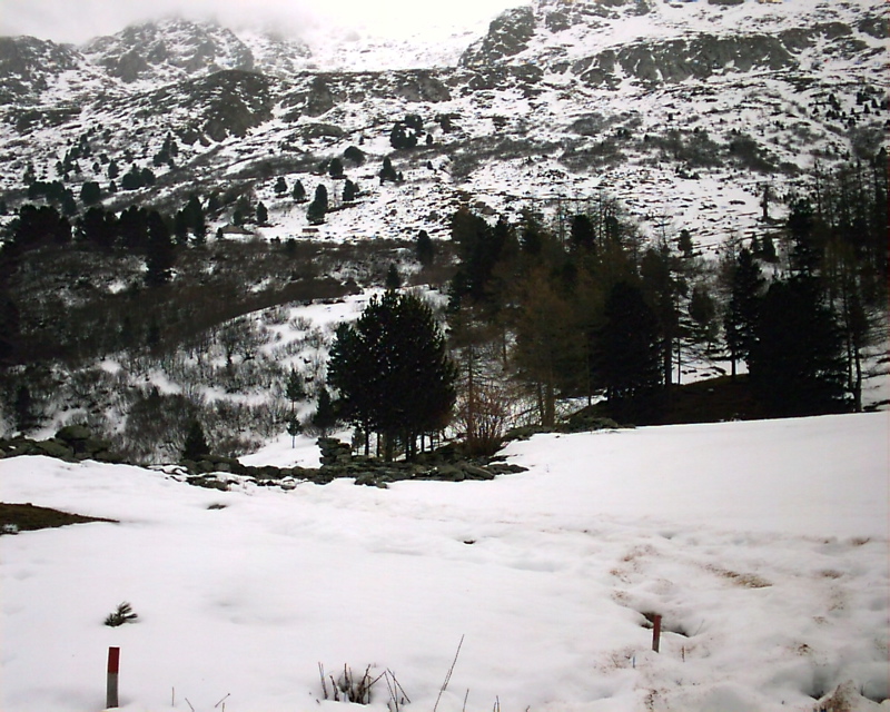 IMAG0061.JPG