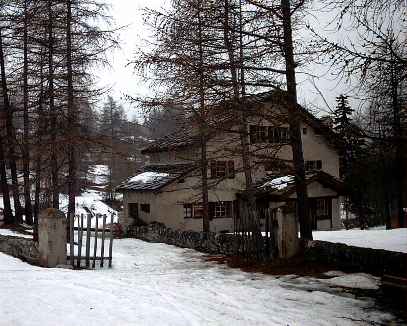 IMAG0074.JPG