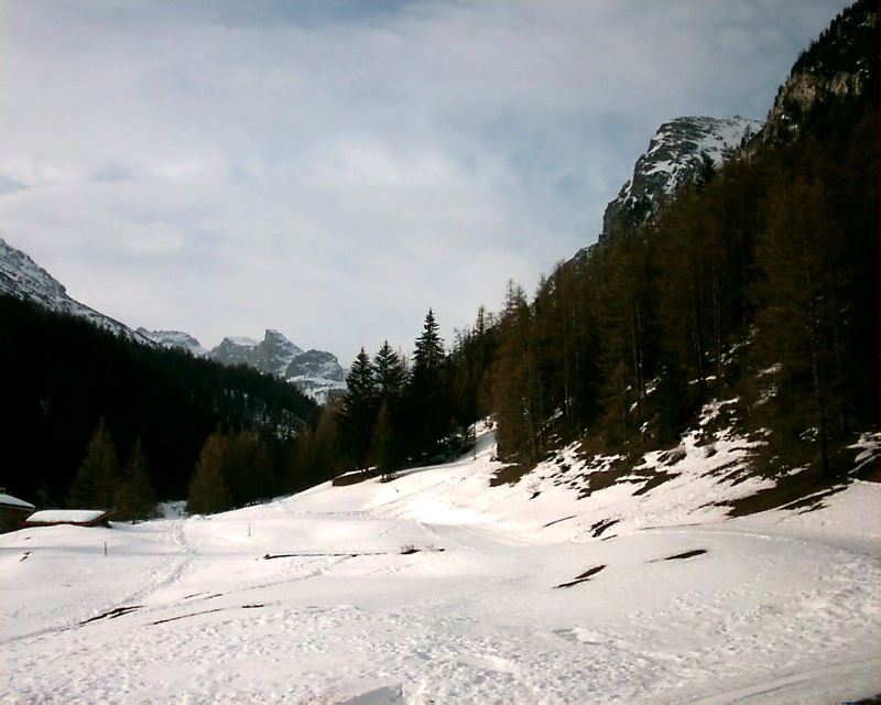 IMAG0097.JPG