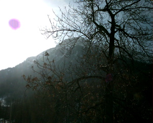 IMAG0105.JPG