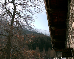IMAG0106.JPG