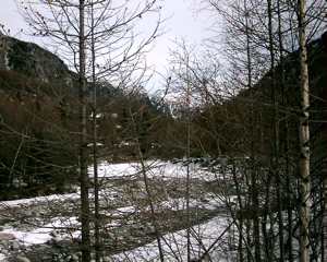 IMAG0034.JPG