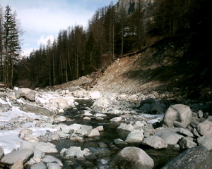 IMAG0115.JPG