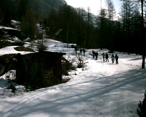 IMAG0118.JPG