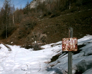 IMAG0119.JPG