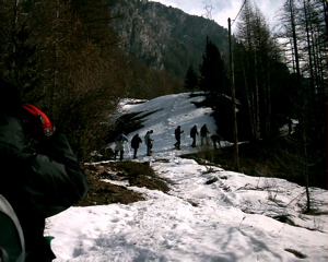 IMAG0120.JPG