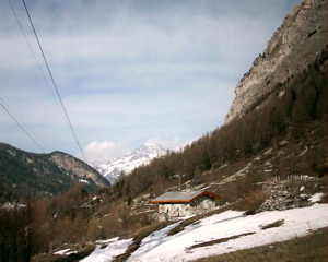 IMAG0123.JPG