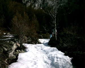 IMAG0124.JPG