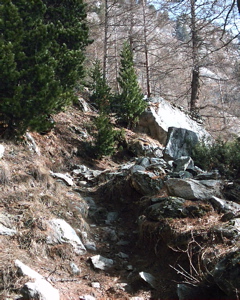 IMAG0126.JPG