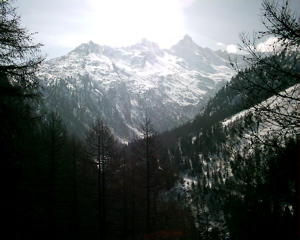 IMAG0127.JPG