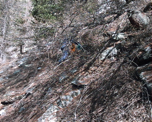 IMAG0129.JPG