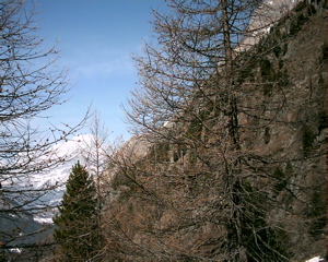 IMAG0131.JPG