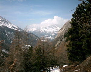 IMAG0133.JPG