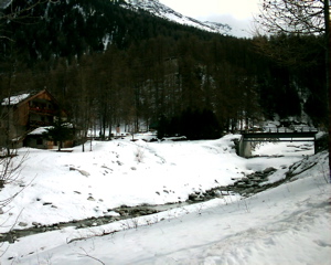 IMAG0035.JPG
