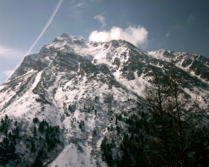 IMAG0135.JPG
