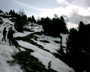 IMAG0136.JPG