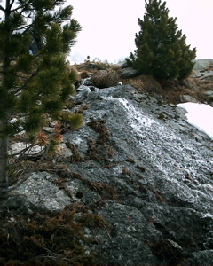 IMAG0137.JPG