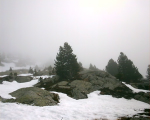 IMAG0138.JPG
