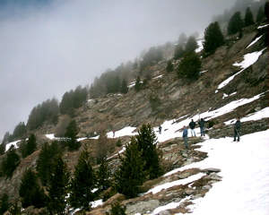 IMAG0157.JPG