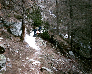 IMAG0159.JPG