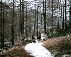 IMAG0161.JPG