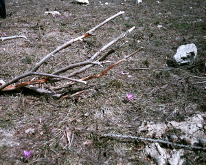 IMAG0163.JPG