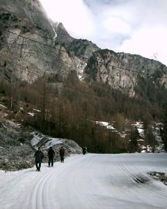 IMAG0165.JPG